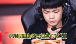 qg试训最新爆料,揭秘最新爆料背后的精彩故事”