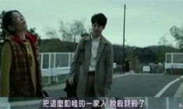 愚行录完整版在线观看,完整版在线观看，揭秘人生荒诞喜剧