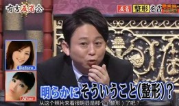 日本娱乐界爆料网,揭秘明星幕后故事