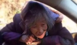 慈母 在线观看,感人至深——在线观看温情母爱故事