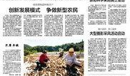 崇阳最新爆料新闻报道网,揭秘事件背后惊人真相