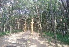 信阳震雷山最新爆料,揭秘神秘古墓群背后的历史之谜