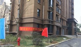 西亚烂尾楼爆料视频大全,视频大全背后的建筑困境与反思