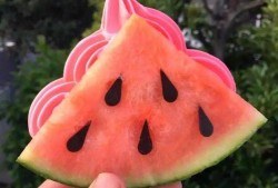 藏族网红吃瓜是谁发明的,揭秘这一独特美食的发明者之谜