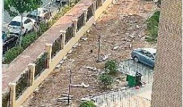 绵阳最新凯厦砍树爆料新闻,真相与争议交织的环保风波