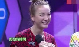 何炅爆料尴尬视频,揭秘娱乐圈不为人知的一面