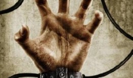 机械重生在线观看,穿越时空的机械传奇