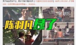 六叔内部爆料视频完整版