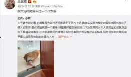 感恩哥最新爆料微博,揭秘娱乐圈惊人内幕！”