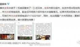 文安何小姐最新爆料新闻