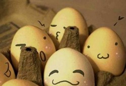 蛋仔过年爆料怎么做视频,视频制作攻略全解析