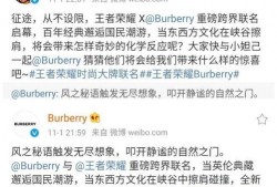 巴宝莉皮肤爆料视频,揭秘奢华时尚背后的秘密