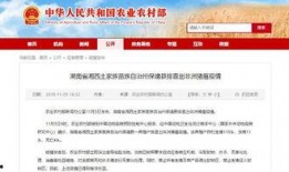 最新爆料湖南新闻,最新爆料揭示惊人内幕！