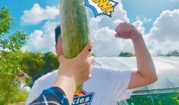 网红麦咭吃瓜,揭秘网红圈幕后故事