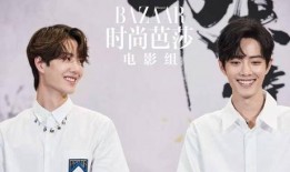 圈内人士博君一肖爆料,揭秘明星背后的故事