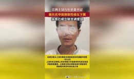 女下属爆料录音视频在线观看,职场潜规则与权力滥用真相