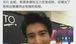王力宏以前的爆料视频,爆料视频背后的故事