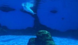 小晨海洋最新爆料,娱乐圈最新爆料大起底