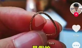 李宁爆料硬币哥哭了视频,李宁爆料视频引发网友热议