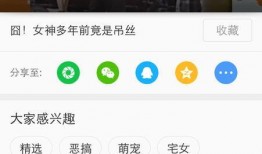 博肖小红小绿爆料视频,精彩瞬间与幕后故事