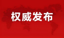 特斯拉副总裁爆料新闻最新消息,揭秘特斯拉未来发展方向与挑战