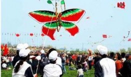 东岛风筝爆料视频,视频爆料背后的惊人真相