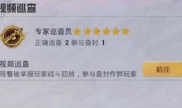 巡查员最新爆料信息表,揭秘隐藏在幕后的惊人真相