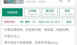 娱乐圈小说推文爆料网站,揭秘明星背后的秘密与真相
