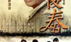 电视剧傻春在线观看,平凡人生中的温暖与感动