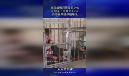 视频爆料被关狗笼了,宠物被关狗笼背后的真相