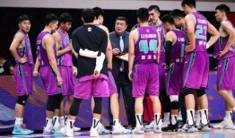 山东队最新爆料,揭秘球队备战新赛季的神秘计划