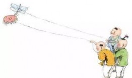 东岛风筝爆料视频,视频爆料背后的惊人真相