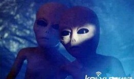 外国爆料外星人视频下载,外国爆料视频下载背后的神秘真相