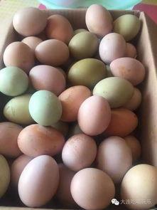 娱乐吃瓜酱地瓜,揭秘娱乐圈那些鲜为人知的幕后故事