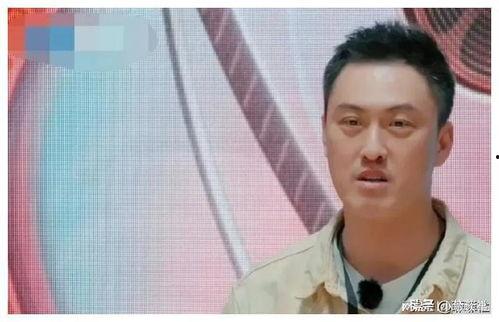 娱乐圈吃瓜消息,明星秘闻大揭秘！