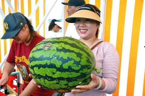 吃瓜最娱乐,揭秘娱乐圈幕后故事