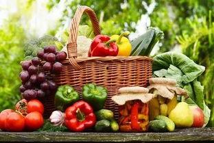 每日吃瓜大赛入口汇聚地,汇聚地揭秘，瓜界风云再起